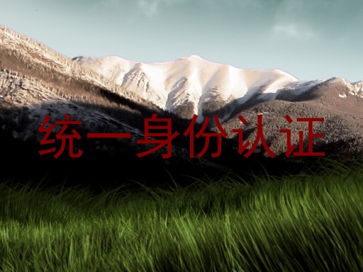 统一身份认证