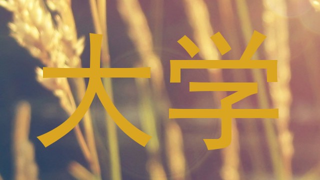 大学