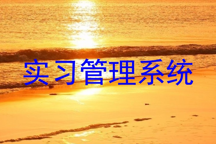 实习管理系统