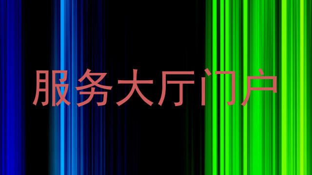 服务大厅门户