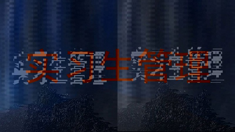 实习生管理