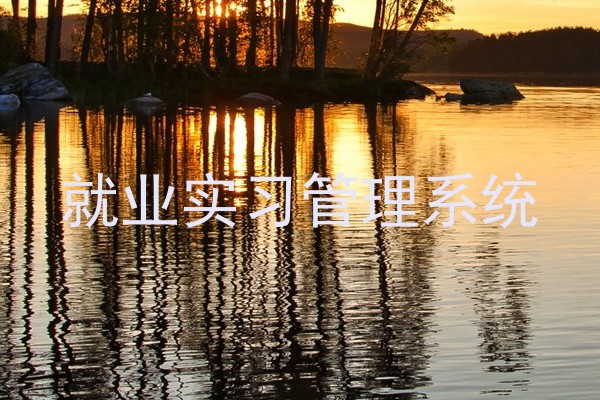 就业实习管理系统