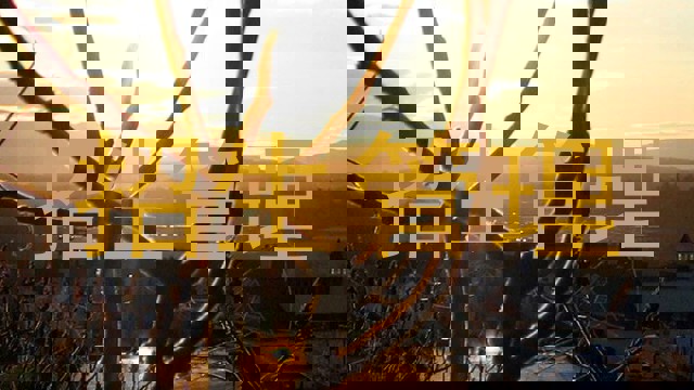 招生管理