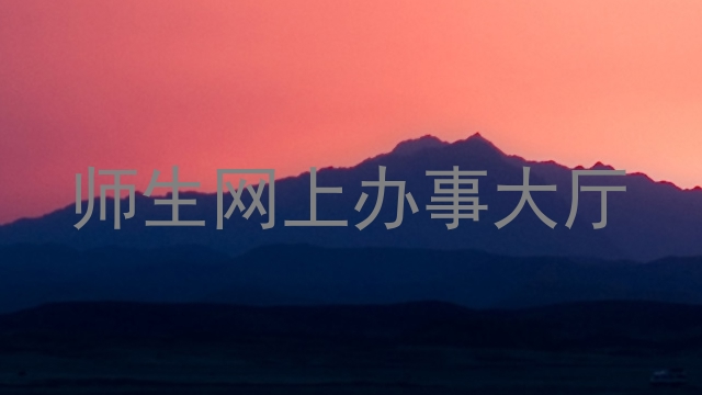 师生网上办事大厅