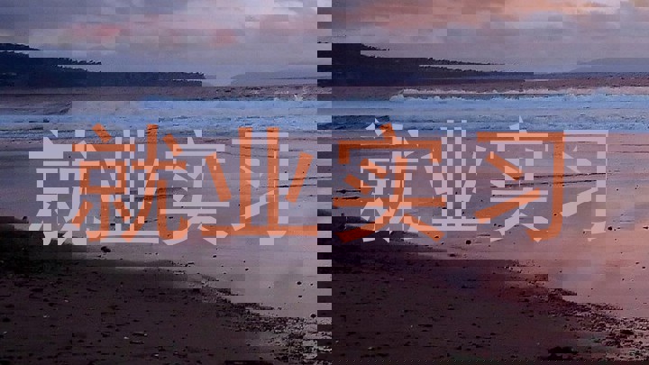 就业实习