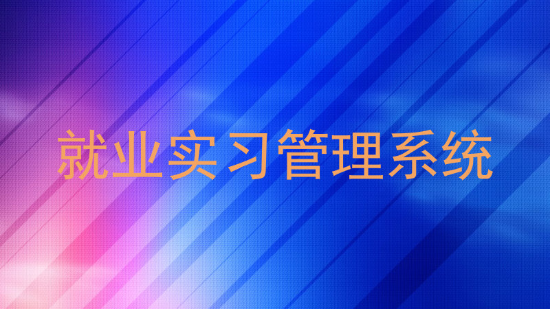 就业实习管理系统