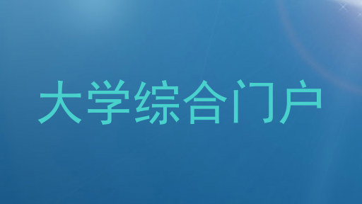 大学综合门户