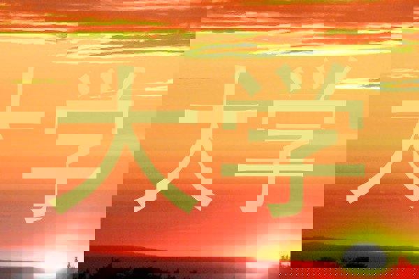大学