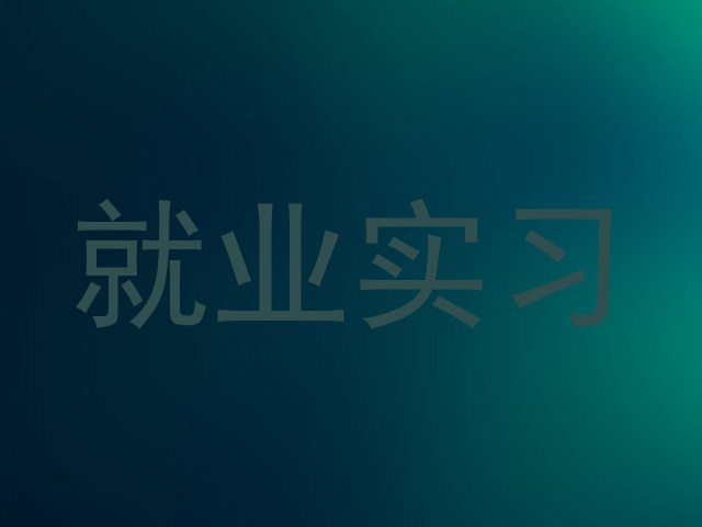 就业实习