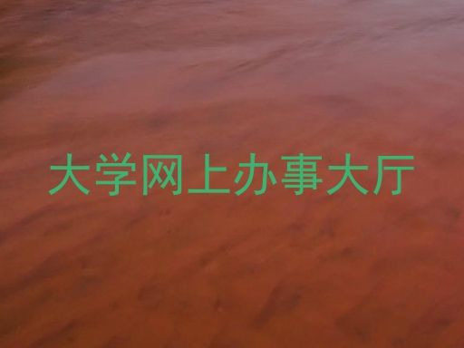 大学网上办事大厅