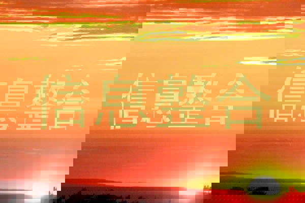 信息整合