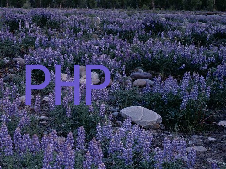 PHP