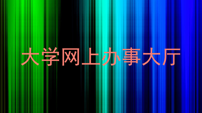 大学网上办事大厅