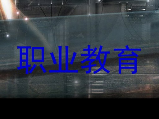 职业教育