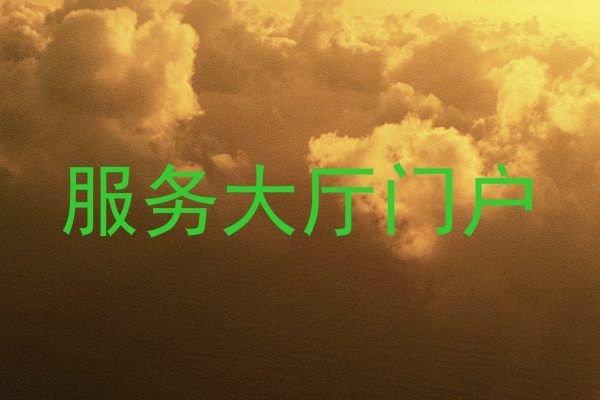 服务大厅门户