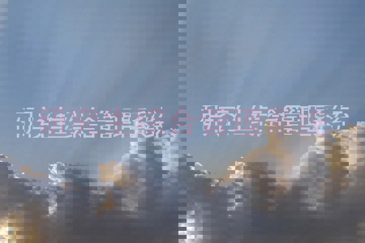 研究生综合管理系统