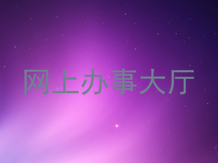 网上办事大厅