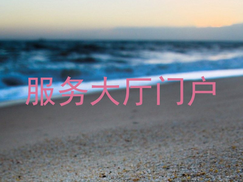 服务大厅门户