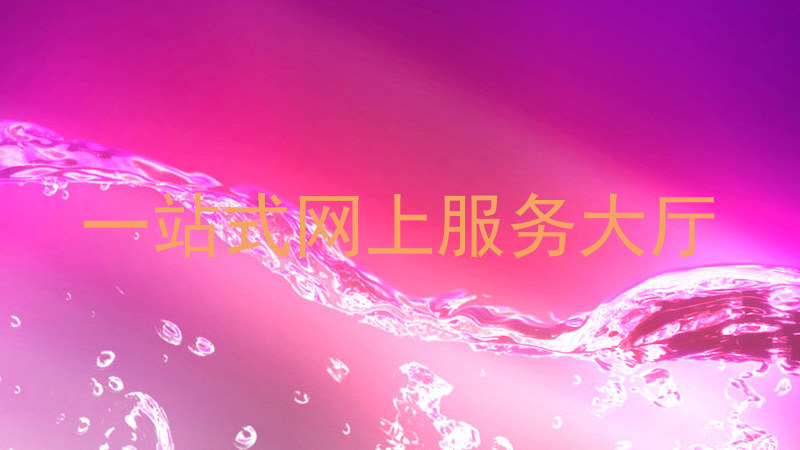 一站式网上服务大厅