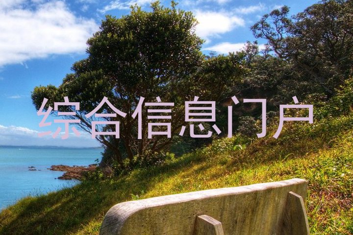 综合信息门户