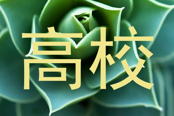 高校