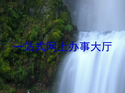 一站式网上办事大厅