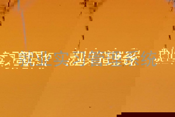 就业实习管理系统