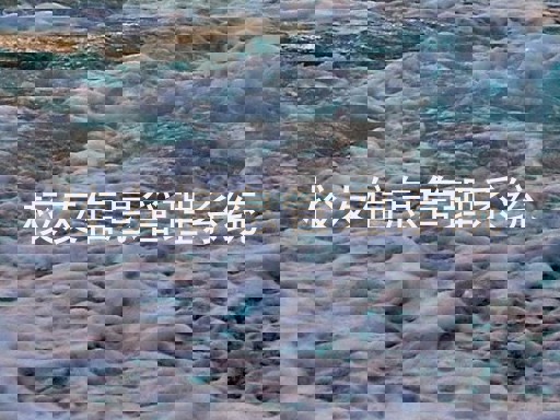 校友信息管理系统