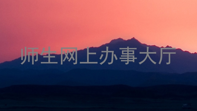 师生网上办事大厅