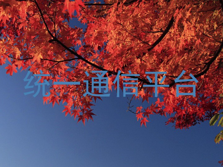 统一通信平台