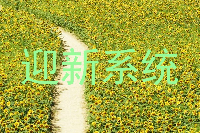 迎新系统