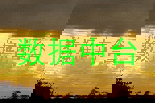 数据中台