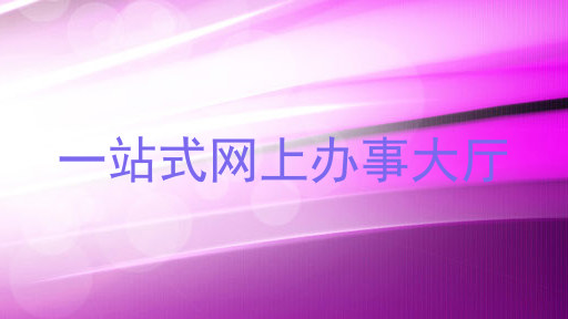 一站式网上办事大厅