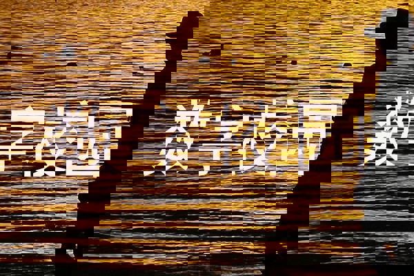 数字校园