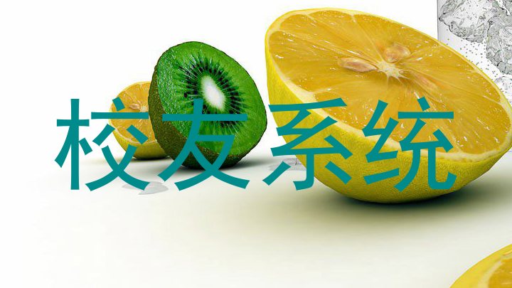 校友系统