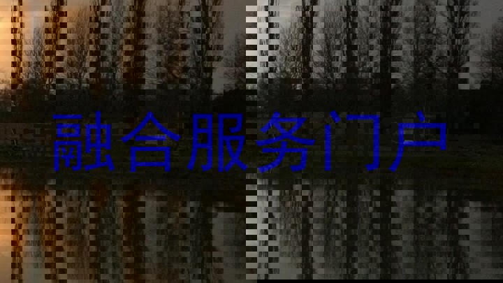 融合服务门户