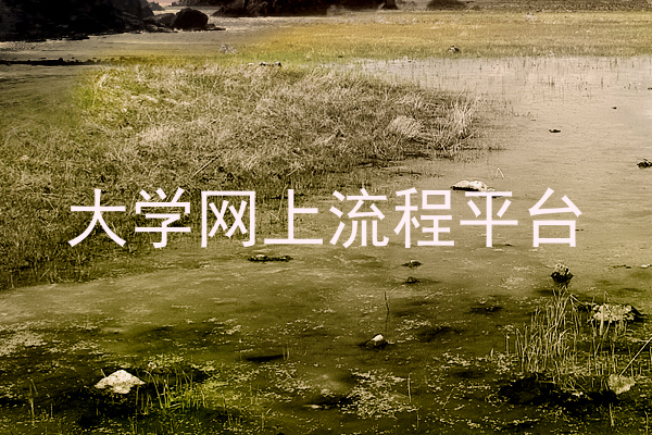 大学网上流程平台
