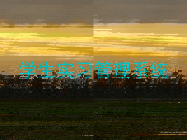 学生实习管理系统