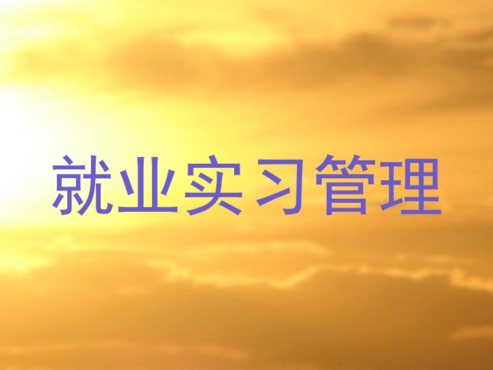 就业实习管理