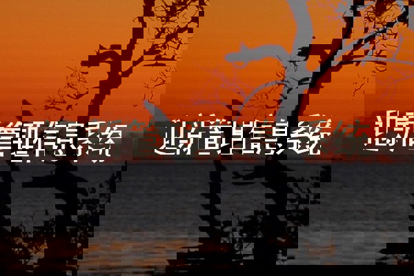 迎新管理信息系统