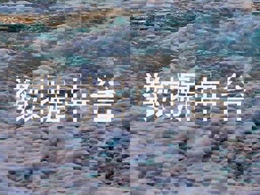 数据中台