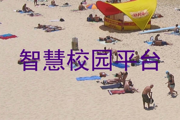 智慧校园平台