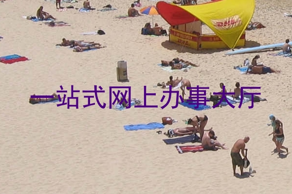 一站式网上办事大厅