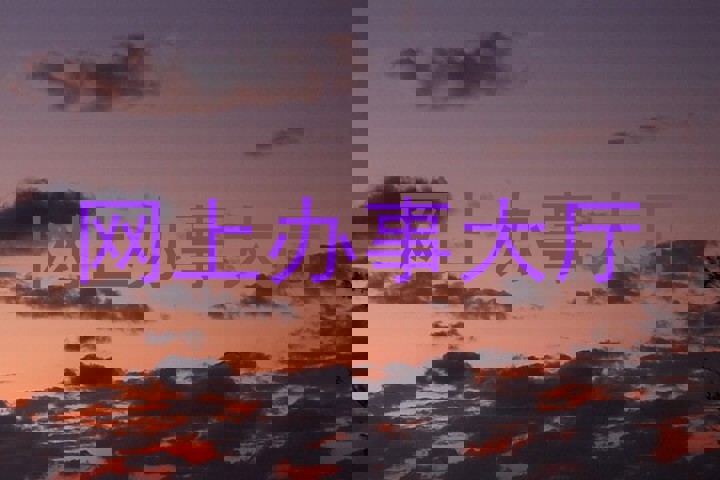 网上办事大厅