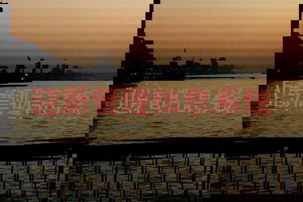 迎新管理信息系统
