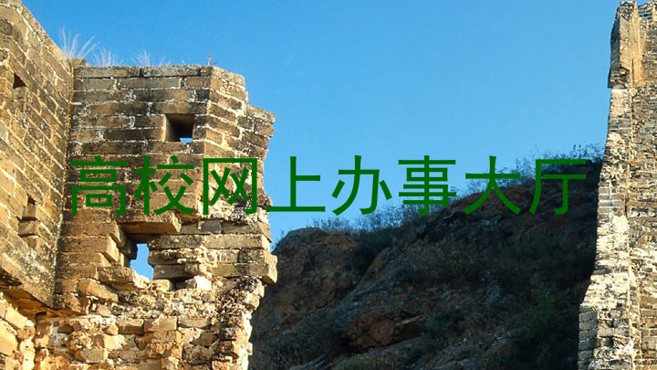 高校网上办事大厅