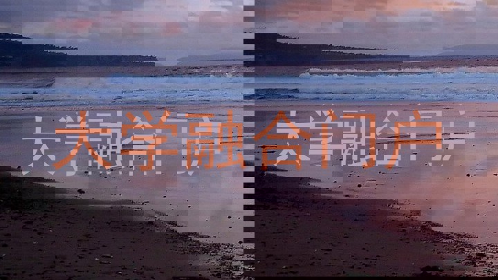 大学融合门户
