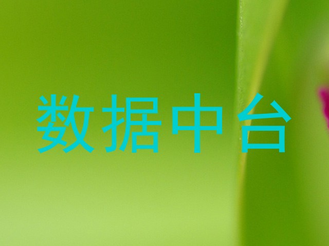数据中台