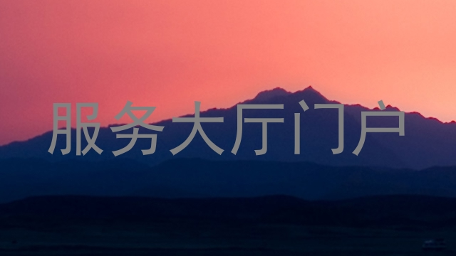 服务大厅门户