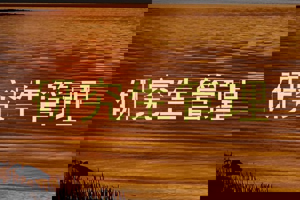 研究生管理